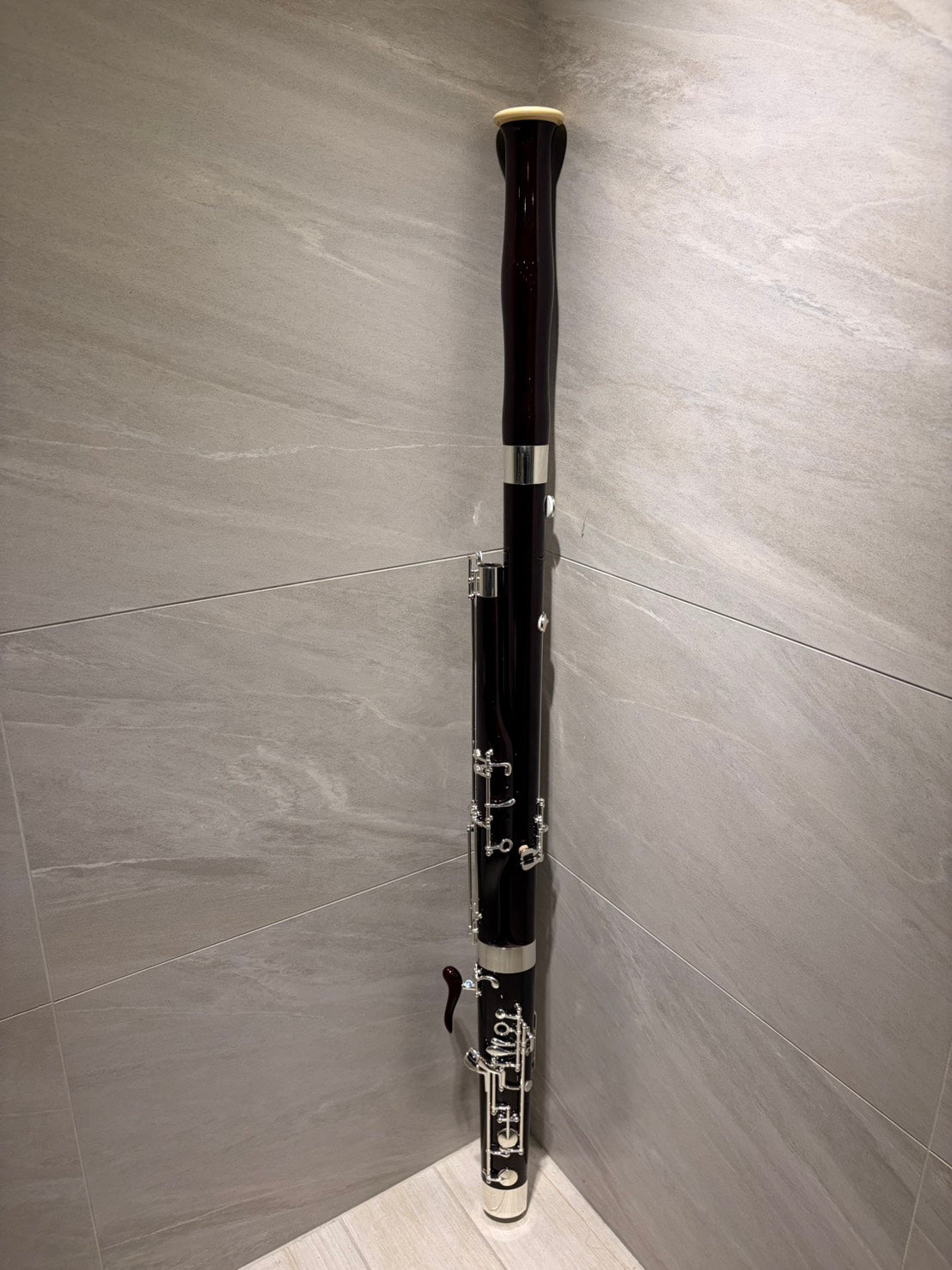出租 - 初階低音管 GAUSAN Standard Bassoon